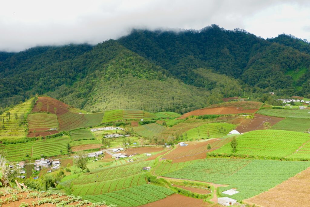 View of a vegetable land for sale on the slopes of a mountain with light clouds and light fog