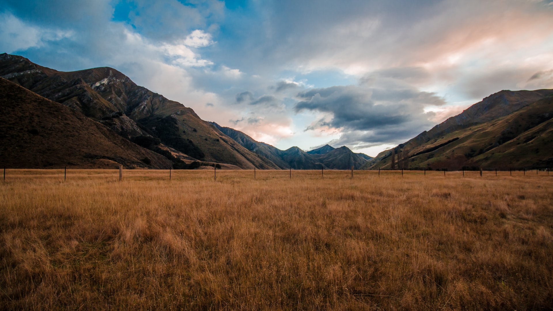 Golden mountain grassland