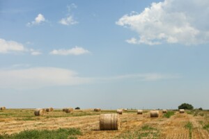 Hay bales on rural land for sale by owner